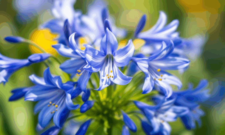 Wanneer Agapanthus Bemesten? De Beste Momenten voor een Weelderige Bloei