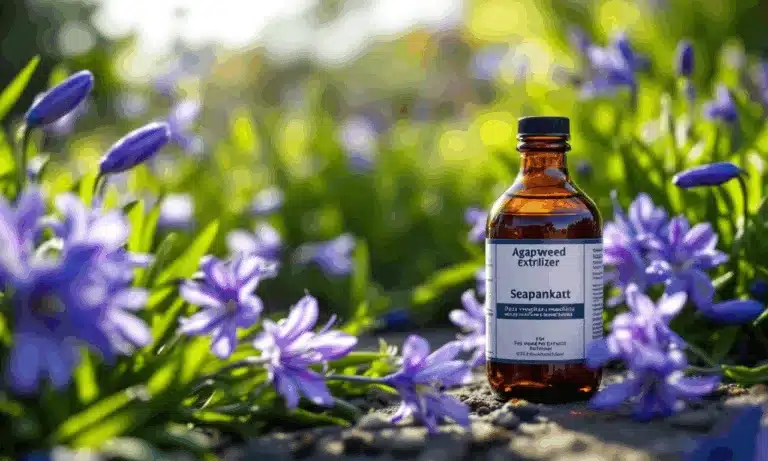 Deze vaak over het hoofd geziene meststof zorgt ervoor dat je Agapanthus tot wel 3 keer meer bloeit